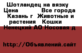 Шотландец на вязку › Цена ­ 1 000 - Все города, Казань г. Животные и растения » Кошки   . Ненецкий АО,Носовая д.